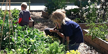 Kids Hands-On Vegetable Gardening Workshop