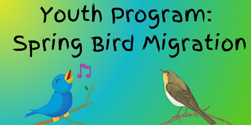 Imagem principal do evento Youth Program: Spring Bird Migration