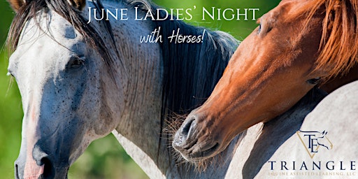 Hauptbild für June Ladies' Night with Horses!