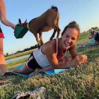 Hauptbild für Goat Yoga at Adam Puchta Winery - Hermann, MO