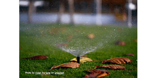 Imagem principal do evento Irrigation System Tips for Homeowners