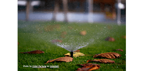 Irrigation System Tips for Homeowners