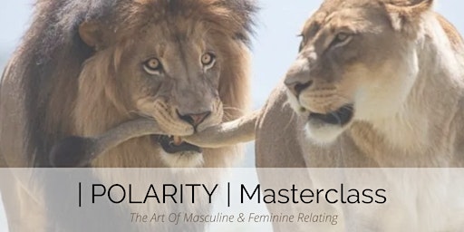 | POLARITY | A Recorded Masterclass on Masculine & Feminine Relating primary image