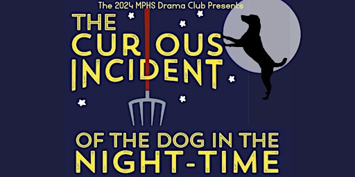 Primaire afbeelding van The Curious Incident Of The Dog In The Night-Time | Sunday