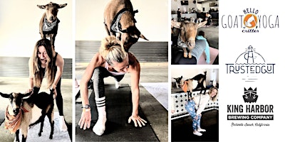 Imagem principal do evento Baby Goat Yoga in Redondo Beach