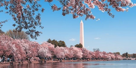 Stanford MIP|IPS DC Alumni Mixer and Reconnect