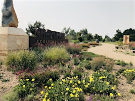 Chapungu Sculpture Park: Interpretive Garden Walk