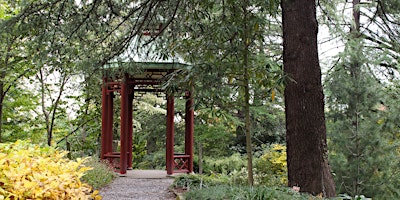 Primaire afbeelding van Veteran's Day Forest Bathing with Sage & Paul — November 11