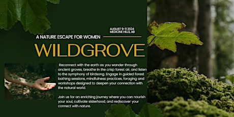 Wildgrove- A Nature Escape for Women