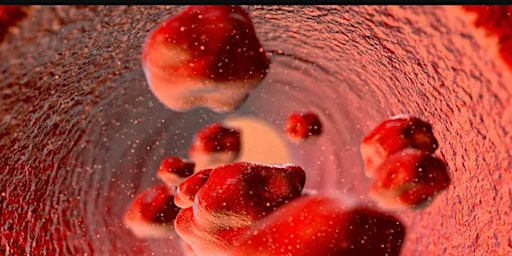 Imagem principal do evento HeartSaver Bloodborne Pathogens -  Full Course
