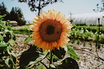 West Coast Seeds Farm Tour