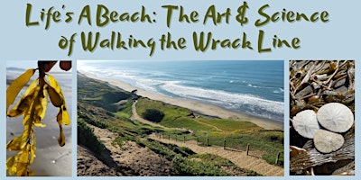 Imagem principal do evento Life's a Beach: The Art & Science of Walking the Wrack Line
