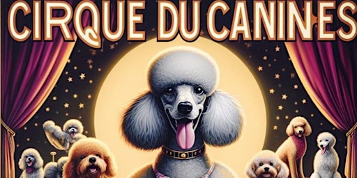 Imagem principal do evento Cirque du Canines