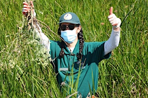 Hauptbild für Weeding for Wildlife