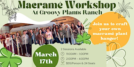 Macramé Workshop at Groovy Plants primary image