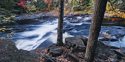 Primaire afbeelding van Fall Foliage Photo Workshop in Algonquin Park (Oct 7-9, 2024)