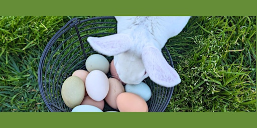 Image principale de Easter Egg Hunt & Fundraiser at the Farm