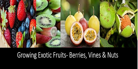 Growing Exotic Fruits - Berries, Vines & Nuts