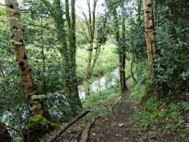 Walk 03 Grindleforge: 13.5 miles primary image