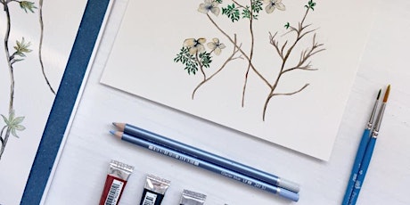 Botanical WATERCOLOR workshop ~ beginner class primary image