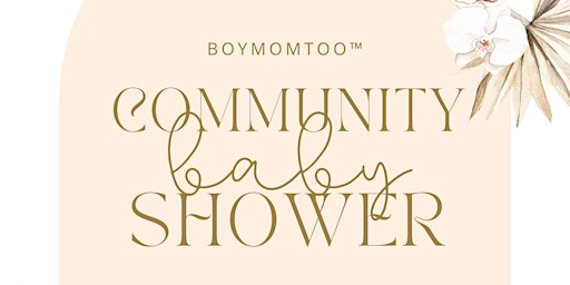 Imagem principal do evento BoyMomToo™ 2nd Annual Community Baby Shower