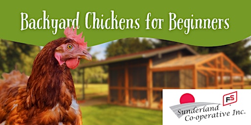 Imagem principal do evento Backyard Chickens for Beginners