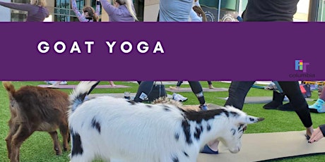 Yoga with Baby Goats