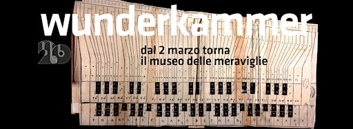 Collection image for wunderkammer 2024 - il museo delle meraviglie