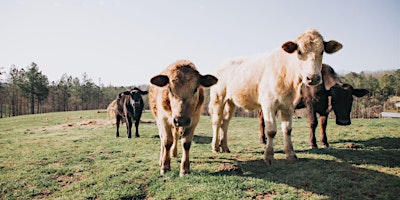 Phelps Farm Homesteading Series primary image