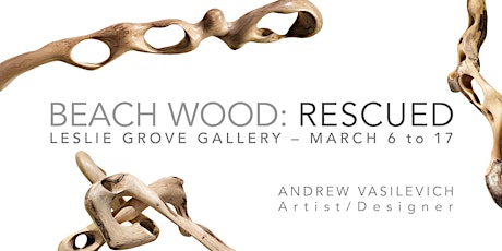 Beach Wood: Rescued-Andrew Vasilevich primary image