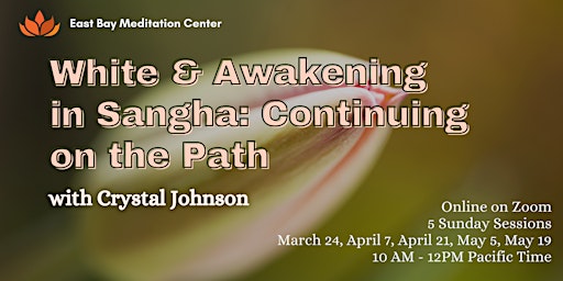 Primaire afbeelding van ONLINE: White and Awakening in Sangha: Continuing on the Path