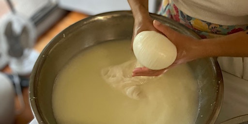 Immagine principale di Living Foods: Stretched Curd Cheeses and Mozzarella Making 