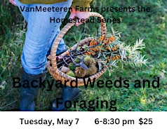 Imagen principal de Backyard Weeds and Foraging