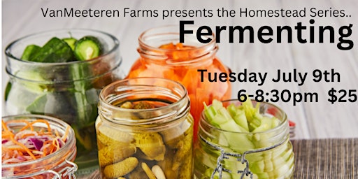 Fermenting Vegetables primary image