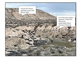 Immagine principale di Bruneau Fossil Reef: Geologic Field Trip 