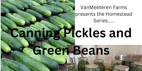 Canning Pickles and Green Beans