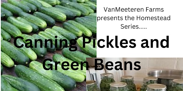 Canning Pickles and Green Beans