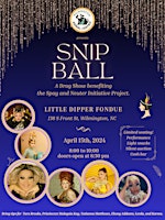 Imagem principal do evento SNIP Ball