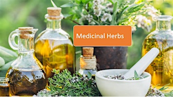 Medicinal Herbs primary image