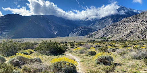 Pacific Crest Trail at Snow Creek Hike primary image