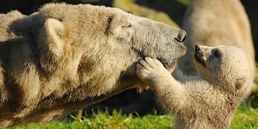 Imagem principal de Family Fun Yoga! €17/€19.20 2.30pm