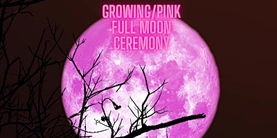 Imagem principal do evento GROWING MOON/PINK MOON/AWAKENING MOON FULL MOON CEREMONY