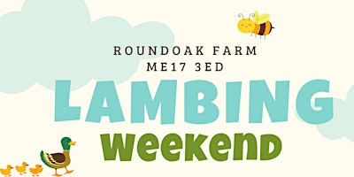 Imagem principal do evento Family Lambing Weekend