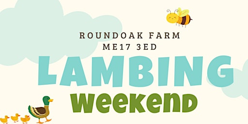 Imagen principal de Family Lambing Weekend