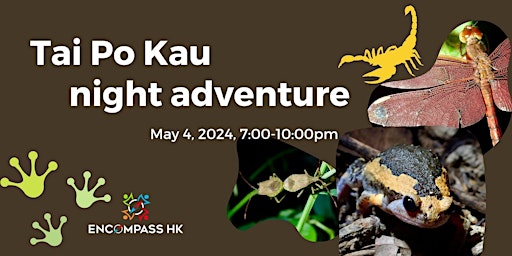 Tai Po Kau Night Adventure primary image