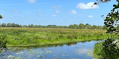 Imagem principal do evento Transforming Worlingham Marshes (ECC2806)