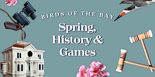 Birds of the Bay: Spring, History & Games primary image