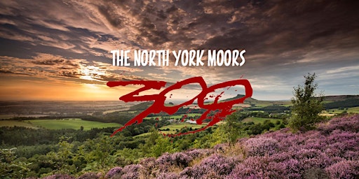Imagem principal de The 2024 North York Moors 300 Individual Time Trial