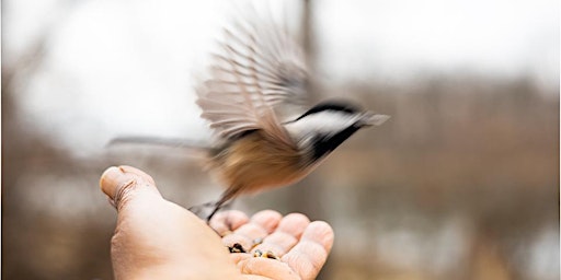 Primaire afbeelding van Natural, Supernatural Human Poetry Workshop