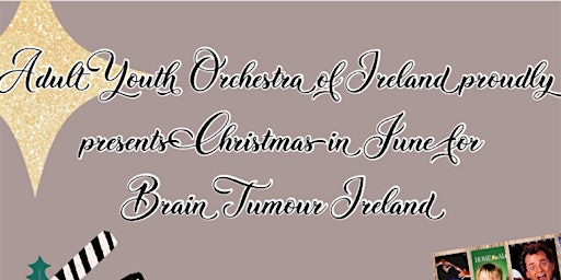 Primaire afbeelding van Christmas in June for Brain Tumour Ireland